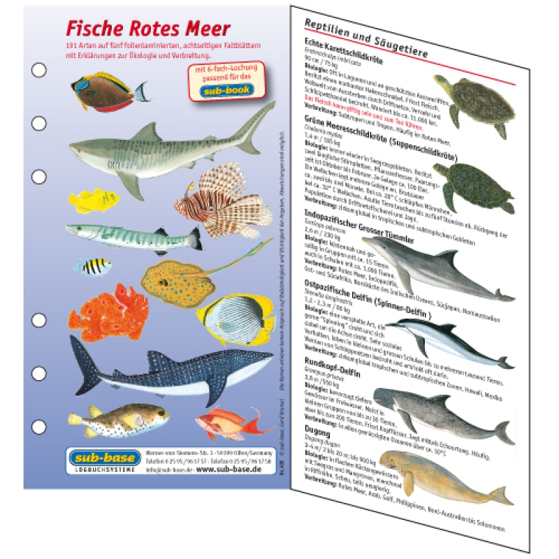sub-base Fischkarten Logbuch Einlagen Rotes Meer Fische mit SSI Lochung